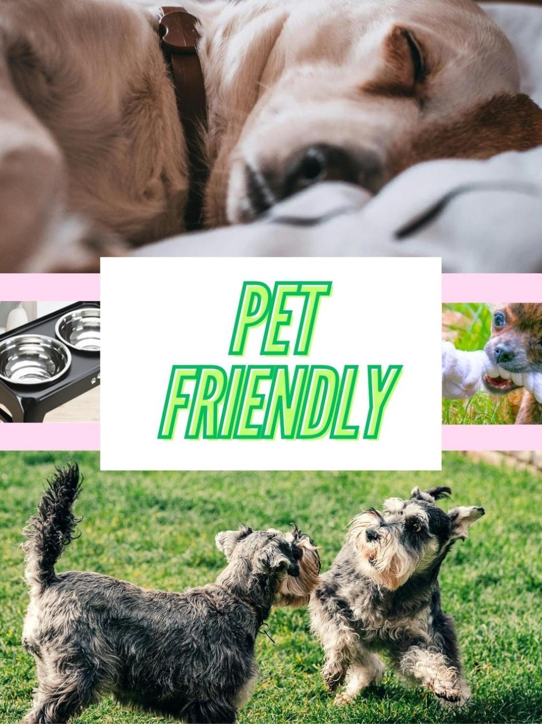 Ferienhaus King Bed & Hot Tub, A Casita For Families & Pets *